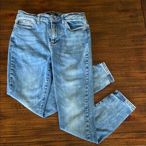 Judy Blue Denim Skinny Jeans